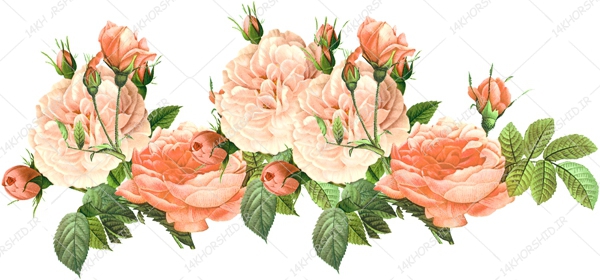 مجموعه کامل طرح گل و گلبرگ حاشیه و زمینه PNG سری سوم مجموعه کامل طرح گل و گلبرگ حاشیه و زمینه PNG سری سوم برای چاپ و طراحی مجموعه فایل های گرافیکی لایه باز