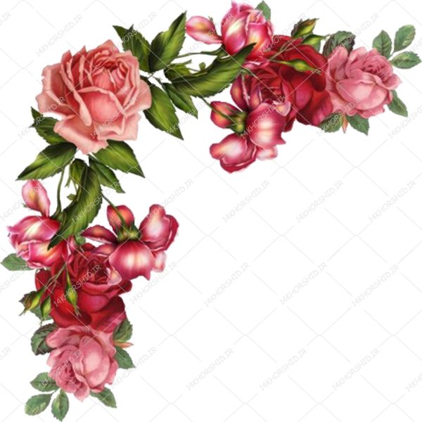 مجموعه کامل طرح گل و گلبرگ حاشیه و زمینه PNG سری سوم مجموعه کامل طرح گل و گلبرگ حاشیه و زمینه PNG سری سوم برای چاپ و طراحی مجموعه فایل های گرافیکی لایه باز