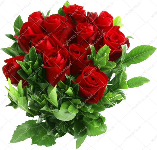 مجموعه کامل طرح گل و گلبرگ حاشیه و زمینه PNG سری سوم مجموعه کامل طرح گل و گلبرگ حاشیه و زمینه PNG سری سوم برای چاپ و طراحی مجموعه فایل های گرافیکی لایه باز