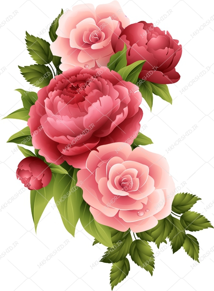 مجموعه کامل طرح گل و گلبرگ حاشیه و زمینه PNG سری سوم مجموعه کامل طرح گل و گلبرگ حاشیه و زمینه PNG سری سوم برای چاپ و طراحی مجموعه فایل های گرافیکی لایه باز