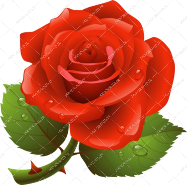 مجموعه کامل طرح گل و گلبرگ حاشیه و زمینه PNG سری سوم مجموعه کامل طرح گل و گلبرگ حاشیه و زمینه PNG سری سوم برای چاپ و طراحی مجموعه فایل های گرافیکی لایه باز